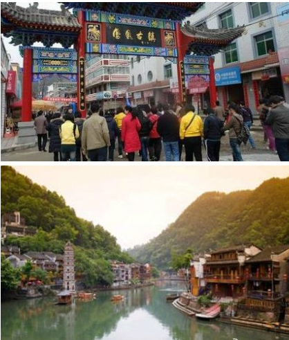 凤凰求客图片