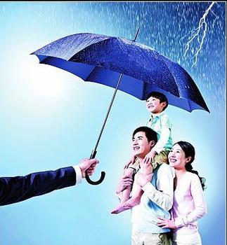 中国证券网-上市公司,财富管理,财经新闻,上证