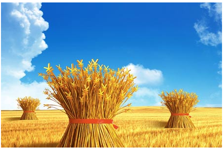 信托资产达10.91万亿 产品报酬率下滑收益提升