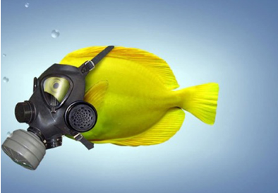 投资与谣言 聪明人的愚人节-财富管理-中国证券