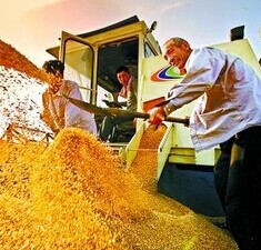 2015年一号文件或仍关注粮食安全-产业·期货