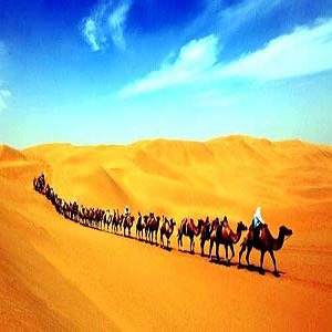 上海证券报·中国证券网-上市公司,财富管理,财