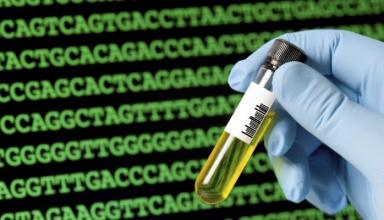 产业·期货-及时的产业资讯、期货资讯发布平