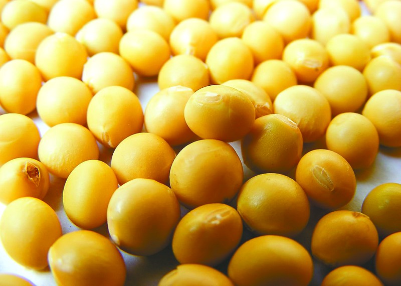 产业·期货-及时的产业资讯、期货资讯发布平