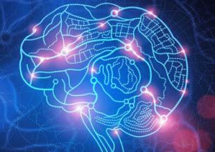 欧盟为人脑计划增资近亿欧元 项目研发或提速