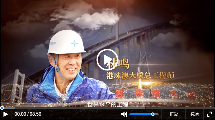 超级工程的跨越者港珠澳大桥岛隧项目总工程师林鸣