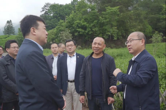 中粮集团党组书记董事长吕军一行赴武夷山市考察