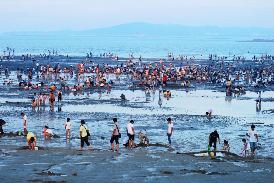 觉华岛赶海图片