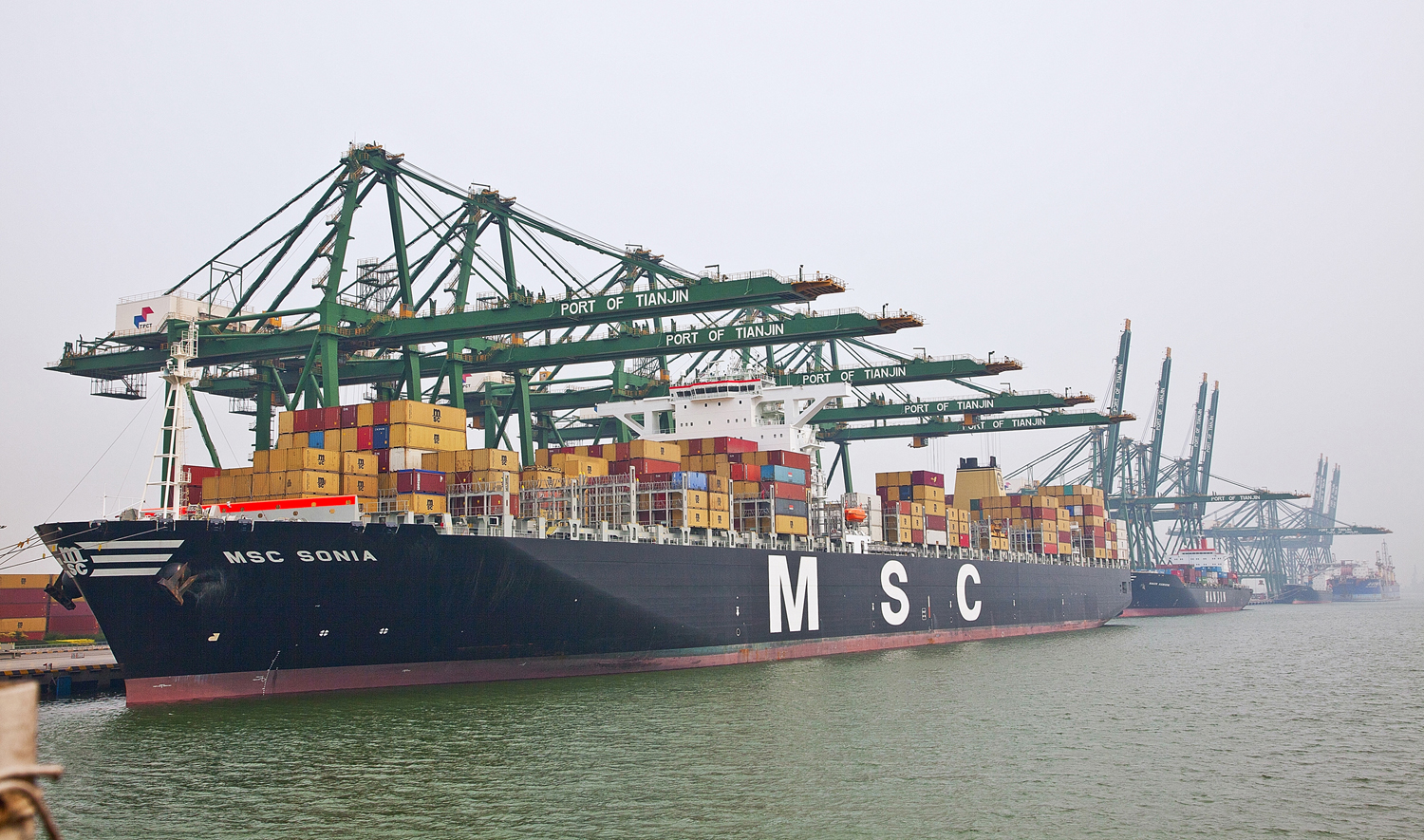 天津港集装箱码头