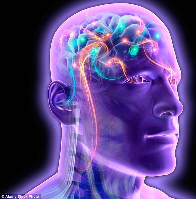 我们的大脑拥有大约860亿个神经元,它们之间拥有数以万亿计的连接。为了数字化地复制思维,我们必须绘制出每一个这样的连接,而这远远超出了人类目前的能力。