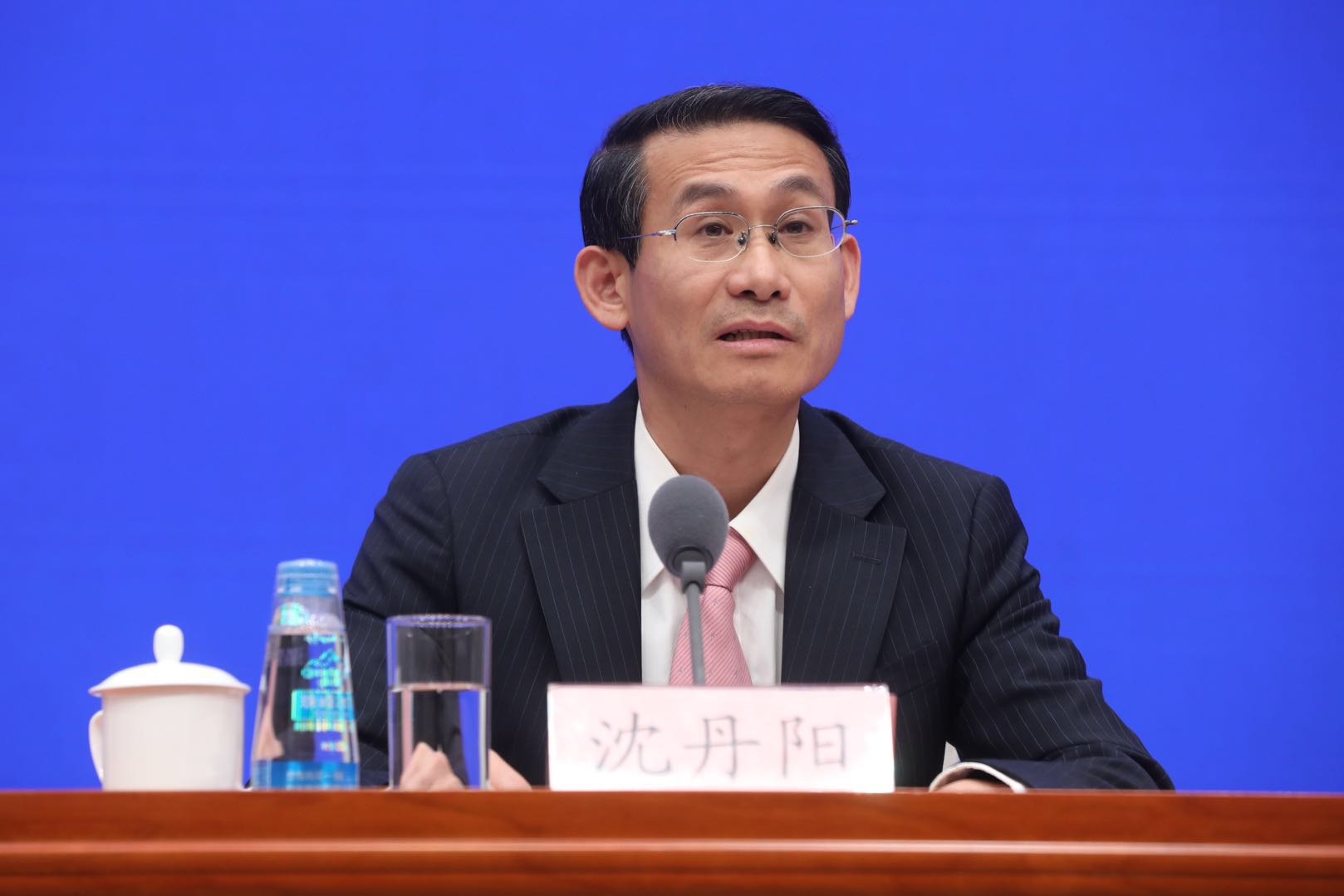 沈丹阳:海南将加大在服务业创新发展等方面的压力测试