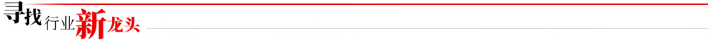 寻找行业新龙头