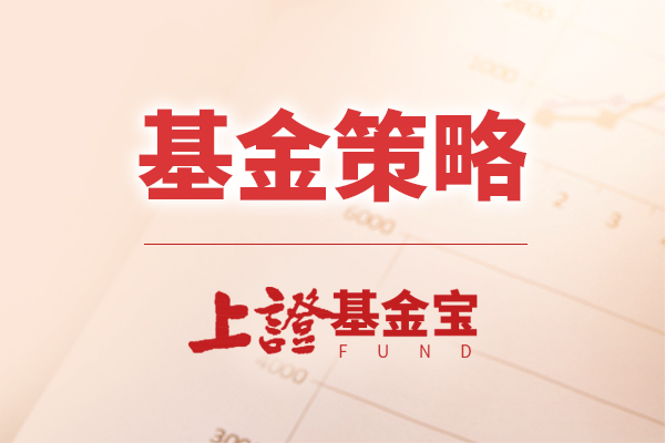 2023下半年基金怎么投？基金经理看好这些赛道