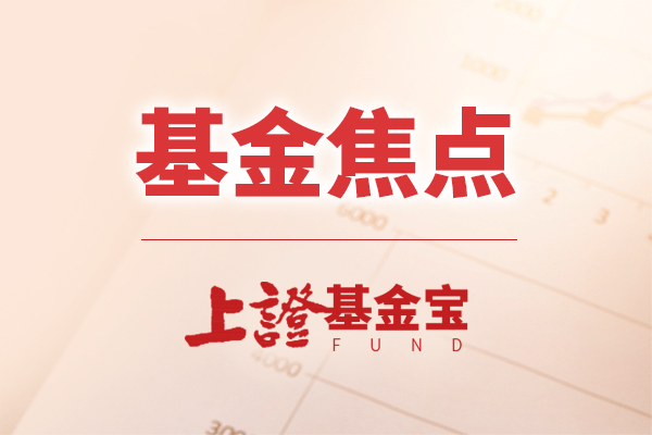 权益基金逐步加仓 后市仍将延续结构性行情